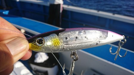 第三共栄丸 釣果