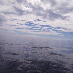 第二龍勢丸 釣果