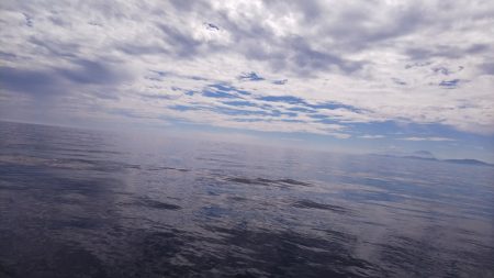 第二龍勢丸 釣果