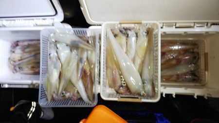 第二龍勢丸 釣果