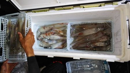 第二龍勢丸 釣果