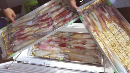 第二龍勢丸 釣果