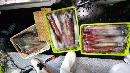 第二龍勢丸 釣果