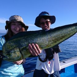 第三共栄丸 釣果