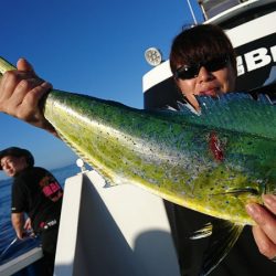 第三共栄丸 釣果