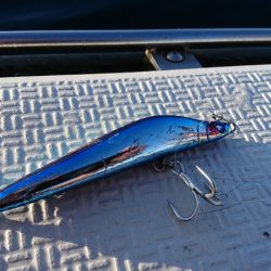 第三共栄丸 釣果