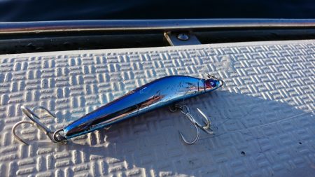 第三共栄丸 釣果