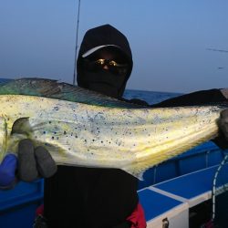 第三共栄丸 釣果