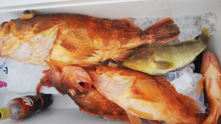 第二龍勢丸 釣果