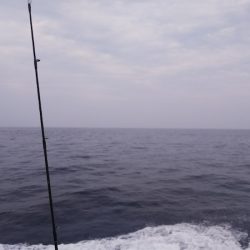 第二龍勢丸 釣果