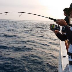 海皇丸 釣果