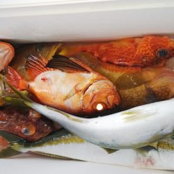 第二龍勢丸 釣果