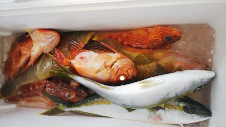 第二龍勢丸 釣果