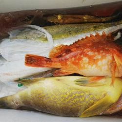 第二龍勢丸 釣果