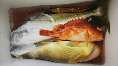 第二龍勢丸 釣果