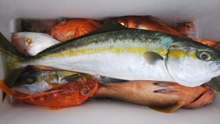 第二龍勢丸 釣果