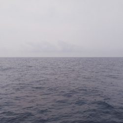 第二龍勢丸 釣果