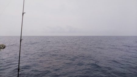 第二龍勢丸 釣果