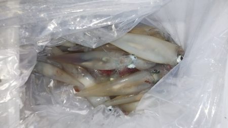 第二龍勢丸 釣果