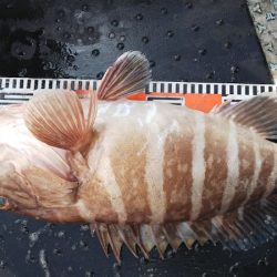 第二龍勢丸 釣果