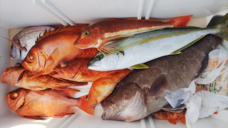 第二龍勢丸 釣果