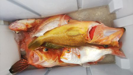 第二龍勢丸 釣果