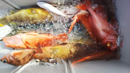 第二龍勢丸 釣果