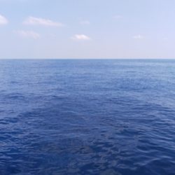 第二龍勢丸 釣果