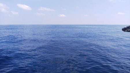 第二龍勢丸 釣果