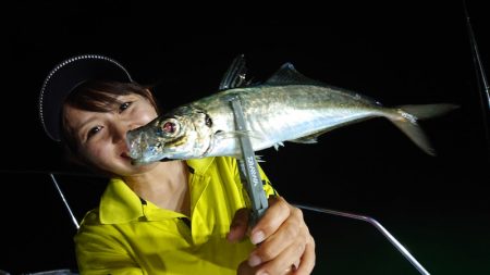 シースナイパー海龍 釣果