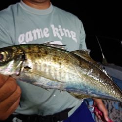 シースナイパー海龍 釣果