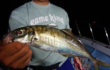 シースナイパー海龍 釣果