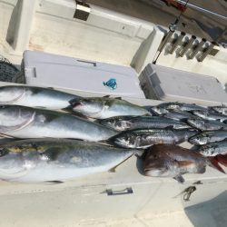 Monster Rush! 釣果