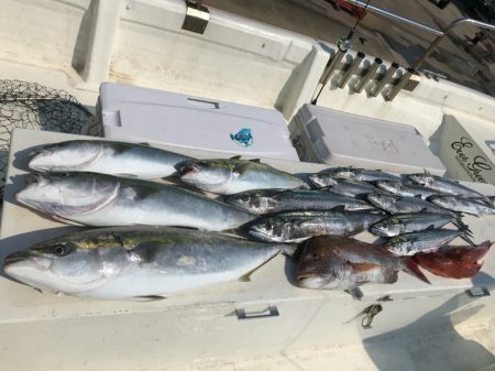 Monster Rush! 釣果