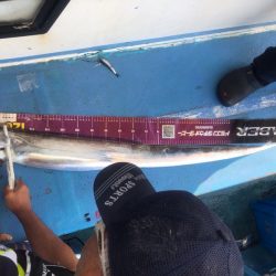 ヤザワ渡船 釣果