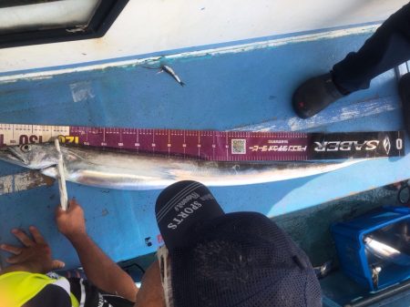 ヤザワ渡船 釣果