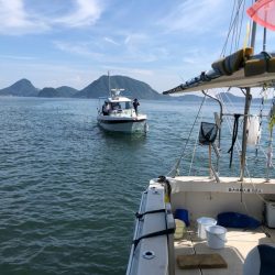 末広丸(熊本) 釣果