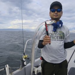 Chase(チェイス) 釣果