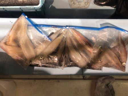 第二八坂丸 釣果