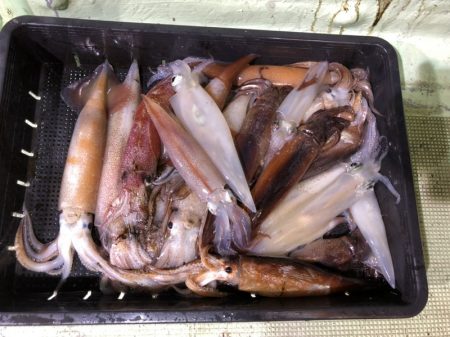 海龍丸（石川） 釣果