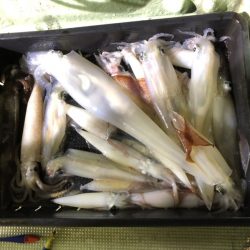 海龍丸（石川） 釣果