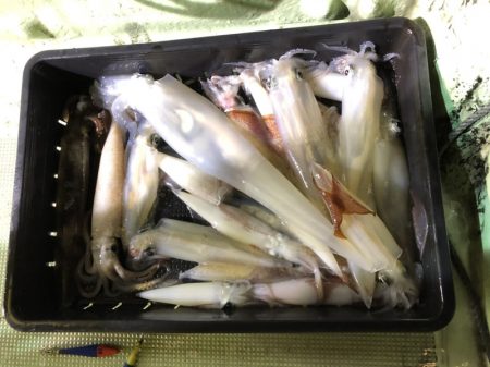 海龍丸（石川） 釣果