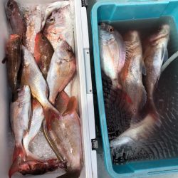 フィッシング　キッタカ 釣果