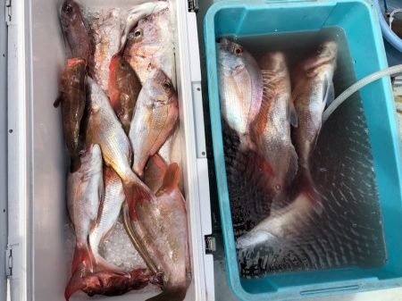 フィッシング　キッタカ 釣果