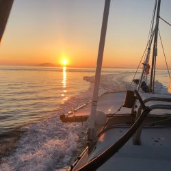 末広丸(熊本) 釣果