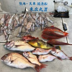 末広丸(熊本) 釣果