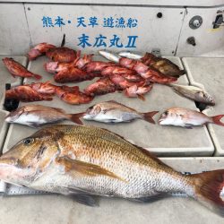 末広丸(熊本) 釣果