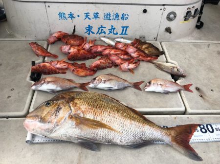 末広丸(熊本) 釣果