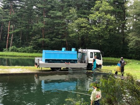 白州トラウトフィッシングエリア　シルフ 釣果