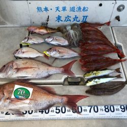 末広丸(熊本) 釣果